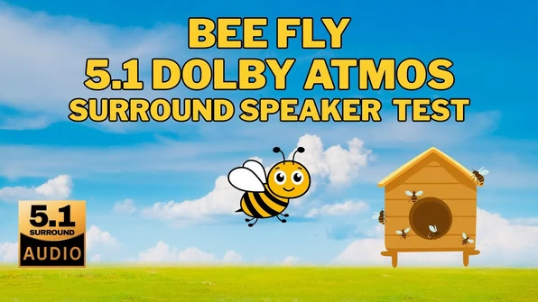 Flying Bee 5.1 Surround Sound Test